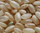 令和3年10月収穫 低タンパク 玄米