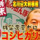 【送料無料】令和4年埼玉 残留農薬ゼロ 北川辺 大利根 コシヒカリ 1等玄米