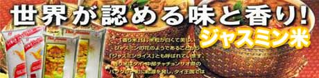 jasmine rice