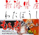 令和4年産 新潟県産 わたぼうし もち米 精白1kg