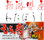 令和4年産 新潟県産 わたぼうし もち米 精白1kg