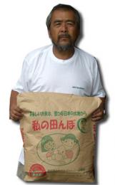 【送料無料】令和4年埼玉 残留農薬ゼロ 北川辺 大利根 コシヒカリ 1等玄米