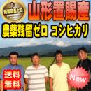 【送料込み】令和4年産 山形県東置賜産 残留農薬ゼロ コシヒカリ 1等 玄米